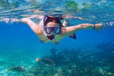 Catalina Island Tour with Snorkelling, Lunch and Dance Catalina Island Tour with Snorkelling, Lunch and Dance