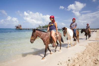 Horseback Riding on the Beach in Punta Cana (Two Hours) Horseback Riding on the Beach in Punta Cana (Two Hours)