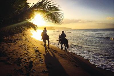 Sunset Horseback Riding Tour from Punta Cana Sunset Horseback Riding Tour from Punta Cana