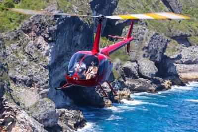 Sanoa Island Helicopter Tour from Punta Cana