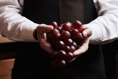 Cheese and wine lovers Cheese and wine lovers