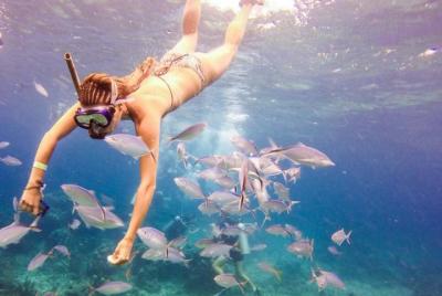 Catalina Island & Snorkeling Paradise From Punta Cana Catalina Island & Snorkeling Paradise From Punta Cana