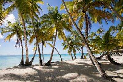 Saona Island Day Trip From Punta Cana with Lunch and Open Bar Included Saona Island Day Trip From Punta Cana with Lunch and Open Bar Included