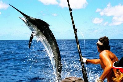 Deep Sea Fishing Deep Sea Fishing