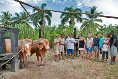 Bayahibe La Romana Discovery Full Day Tour Bayahibe La Romana Discovery Full Day Tour