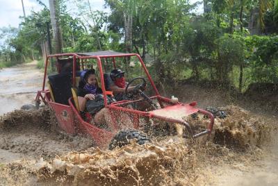 Platinum Buggy Adventure Platinum Buggy Adventure