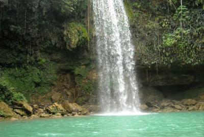 7 Hour- Private Nature Tour of the Monte Plata Rainforest 7 Hour- Private Nature Tour of the Monte Plata Rainforest
