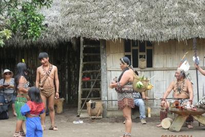 Tours to the Amazon - Jungle For a Day Various Activities All Inc