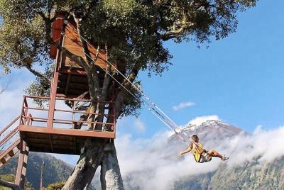 Tree House - End of the World Swing - 100 m Canopy - Time 2h: 30