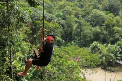 One Day In The Jungle And At Night All Inclusive Night Tours One Day In The Jungle And At Night All Inclusive Night Tours