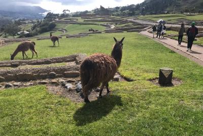 The Best of Ingapirca: an Adventure to the Ecuadorian Machu Picch