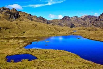Private Cajas National Park Half-Day Tour from Cuenca Private Cajas National Park Half-Day Tour from Cuenca
