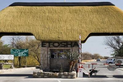 3 Day Etosha National Park Guided Camping Safari 3 Day Etosha National Park Guided Camping Safari