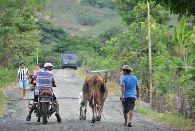 Bicycle tour: Los Lojas - A natural secret. From Guayaquil Bicycle tour: Los Lojas - A natural secret. From Guayaquil