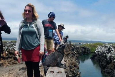 Half Day Tintoreras Tour from Isabela Island