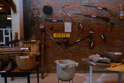 The rain forest, surroundings & lunch. The rain forest, surroundings & lunch.