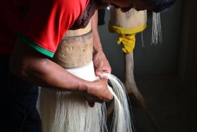 Manabi Diversity Route Manabi Diversity Route