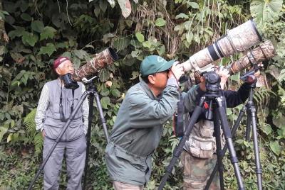 Birding Tour Birding Tour