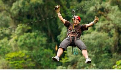 CANOPY cables  CANOPY cables