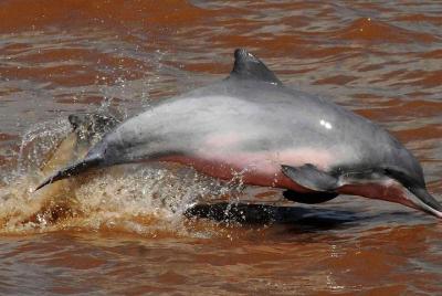 Cuyabeno Program 5 days 4 nights Cuyabeno Program 5 days 4 nights