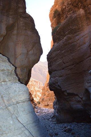 walk and visit the Dades Gorge. walk and visit the Dades Gorge.