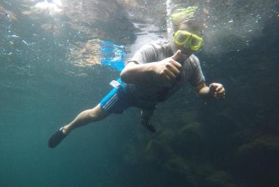 Navigable Bay Tour (Santa Cruz)