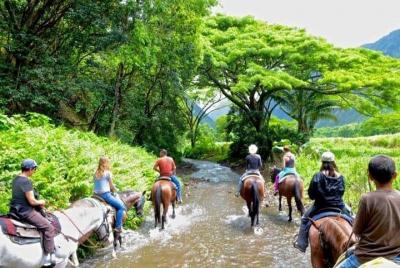 Wet forest horse tour - Machalilla National Park
 Wet forest horse tour - Machalilla National Park