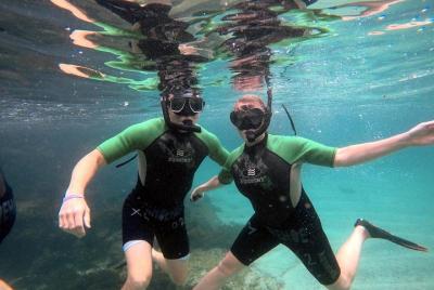 Half-Day Tour to Cabo Rosa Tuneles / Isabela Island Half-Day Tour to Cabo Rosa Tuneles / Isabela Island