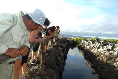 Half-Day Tour to Tintoreras Islet in Isabela Island - Galapagos Half-Day Tour to Tintoreras Islet in Isabela Island - Galapagos