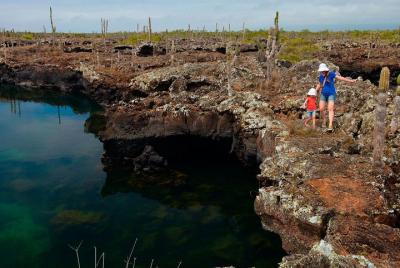 Half-Day Trip to Los Tuneles Cabo Rosa in Isabela Galapagos Half-Day Trip to Los Tuneles Cabo Rosa in Isabela Galapagos