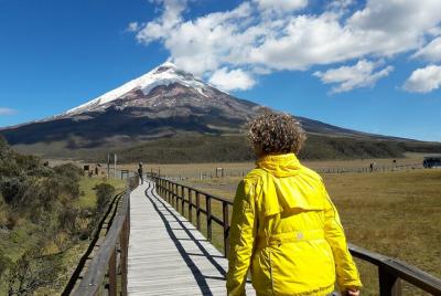 Cotopaxi Volcano full day tour with all the entrances, small grou