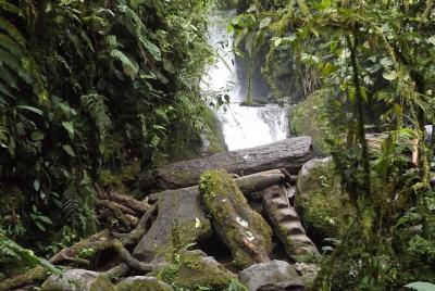 Semi-Private Tour: Mindo Full-Day Tour Semi-Private Tour: Mindo Full-Day Tour