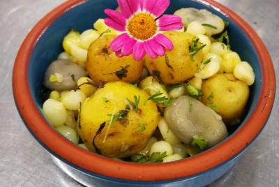 Ecuadorian cuisine at its best (Menu 2)