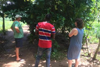 Spice Farm and Jozani Forest Private Tour in Zanzibar Spice Farm and Jozani Forest Private Tour in Zanzibar