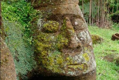 Full-Day Floreana Tour Full-Day Floreana Tour