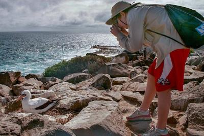 Full Day Seymour North Island & Las Bachas  Full Day Seymour North Island & Las Bachas