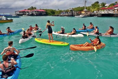 Lonesome George Adventure Lonesome George Adventure