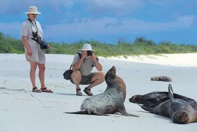 5 Days Galapagos Tour: Santa Cruz and Isabela Islands