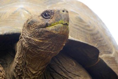 5 day Galapagos Island Hopping