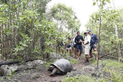 3 Days - Reborn Floreana island 