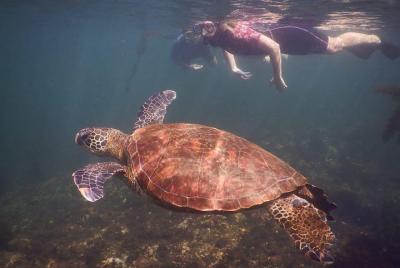 5 Day Galápagos Trip in Santa Cruz Island Land-based