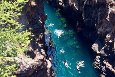 Bay Tour in Santa Cruz - Galapagos Islands