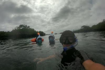 Isla Pinzón - Day Tour - From Santa Cruz - Islas Galápagos  Isla Pinzón - Day Tour - From Santa Cruz - Islas Galápagos