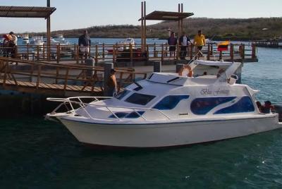 Transfer from Santa Cruz Island to Isabela Island