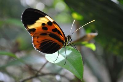 Sightseeingss in Tena Things to do in  Tena 179118