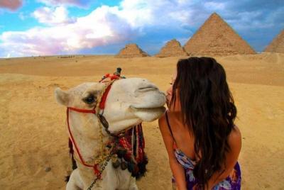 Tour to Giza pyramids and the Egyptian museum from Alexandria by  Tour to Giza pyramids and the Egyptian museum from Alexandria by