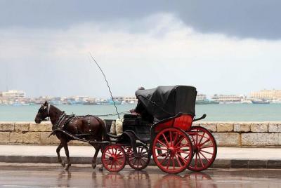 Alexandria Horse Carriage Tour 