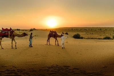Zagoura Desert 2 Days 1 Night include B&B, Lunch ,transport ,Tent ,Camel Ride 
