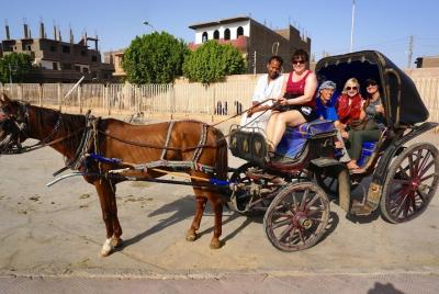 Horse Carriage Ride in Aswan Horse Carriage Ride in Aswan