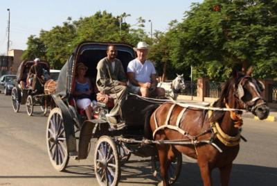 Aswan City Tour By Horse And Carriage Aswan City Tour By Horse And Carriage